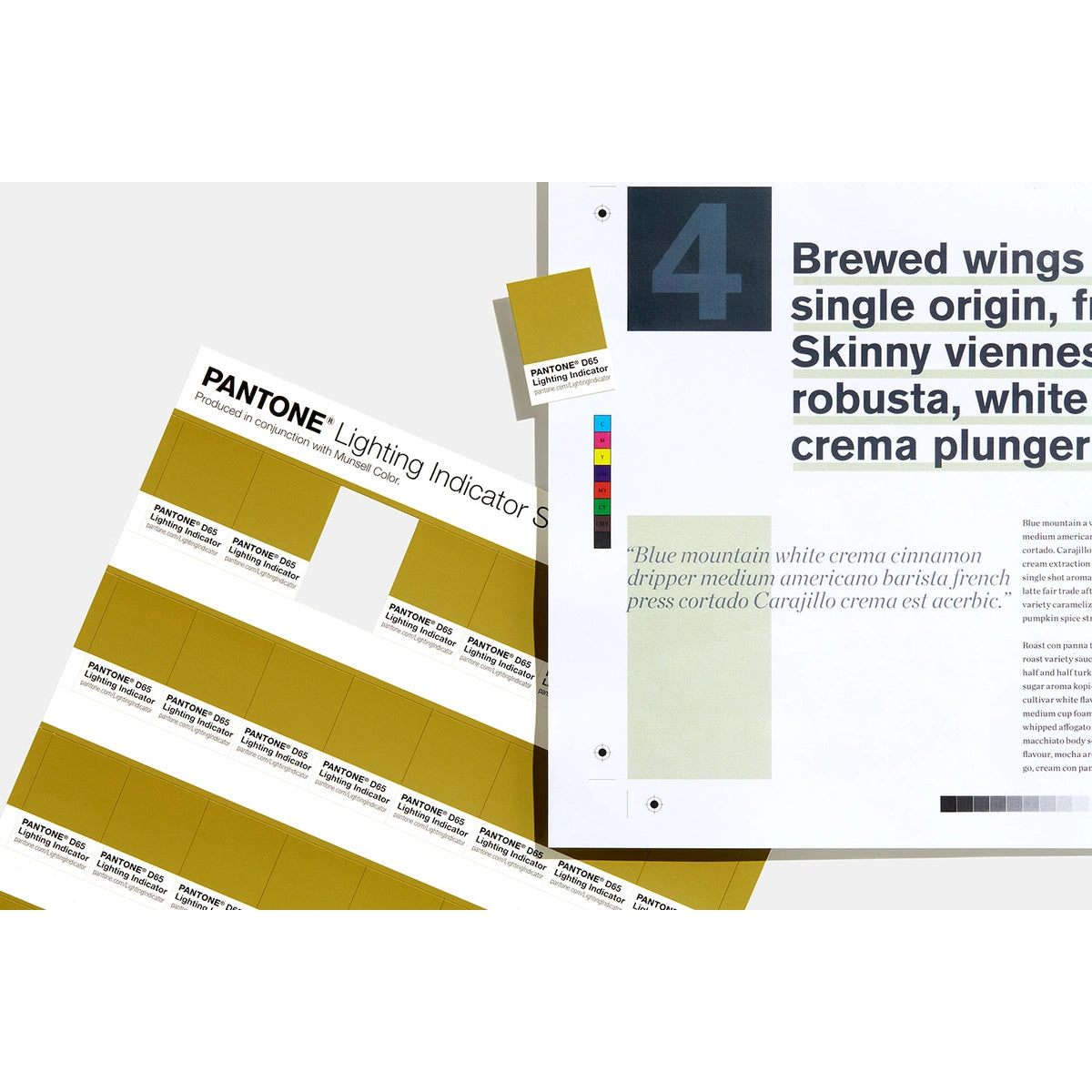 PANTONE® Lighting Indicator Stickers D50 - LNDS-1PK-D65