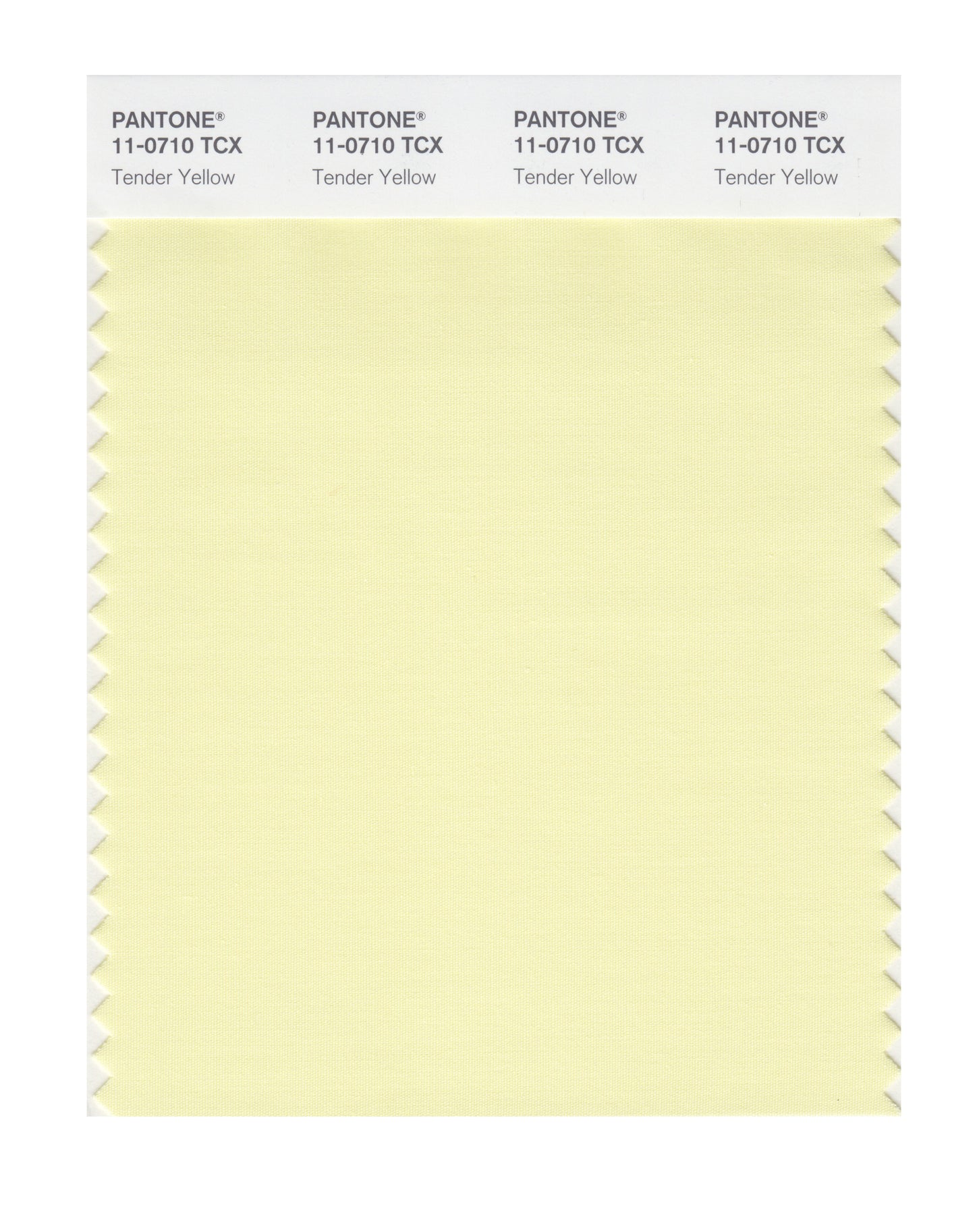 PANTONE® TCX Cotton Swatch Cards (SWCD TCX)