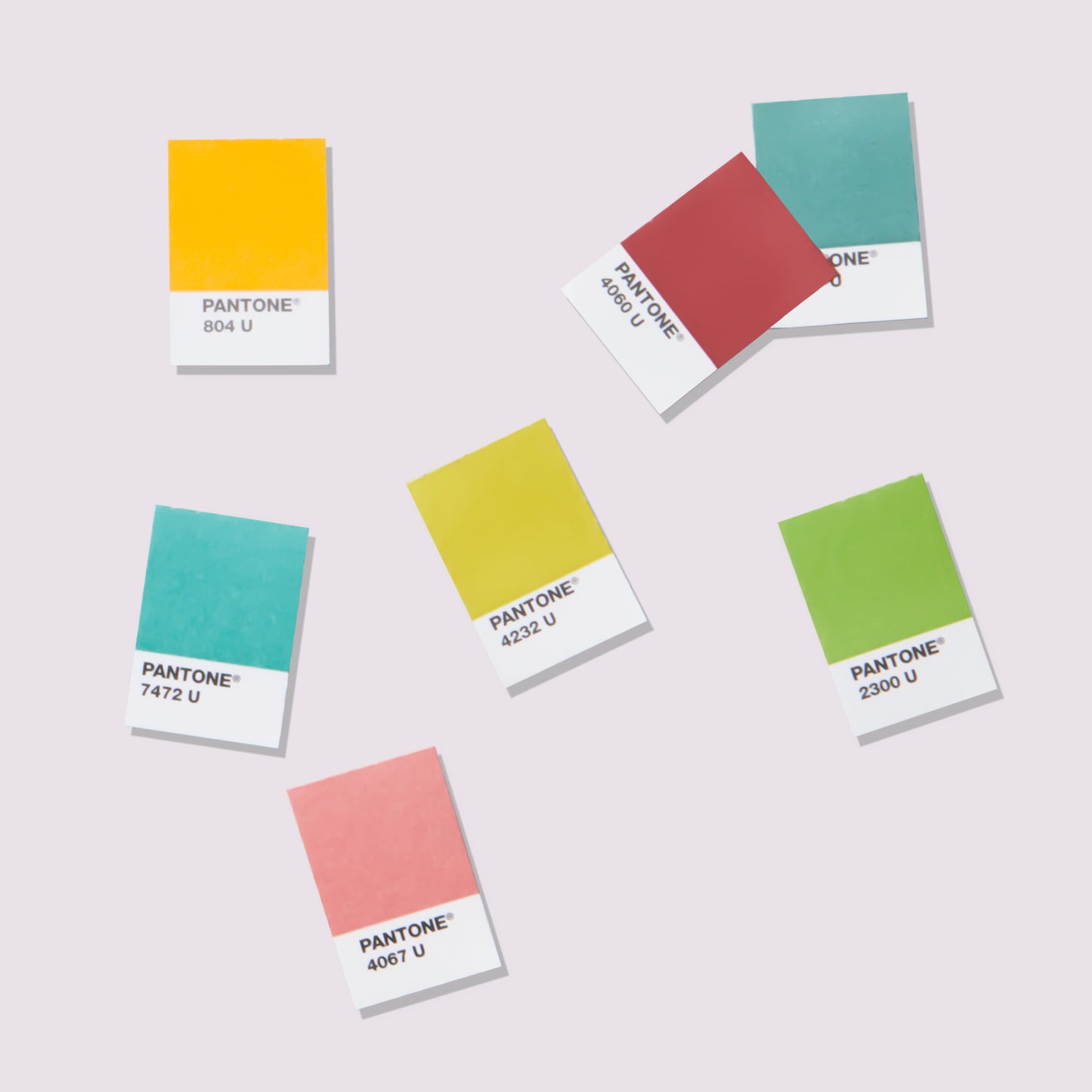 PANTONE® Solid Chips - Coated & Uncoated - individual chips