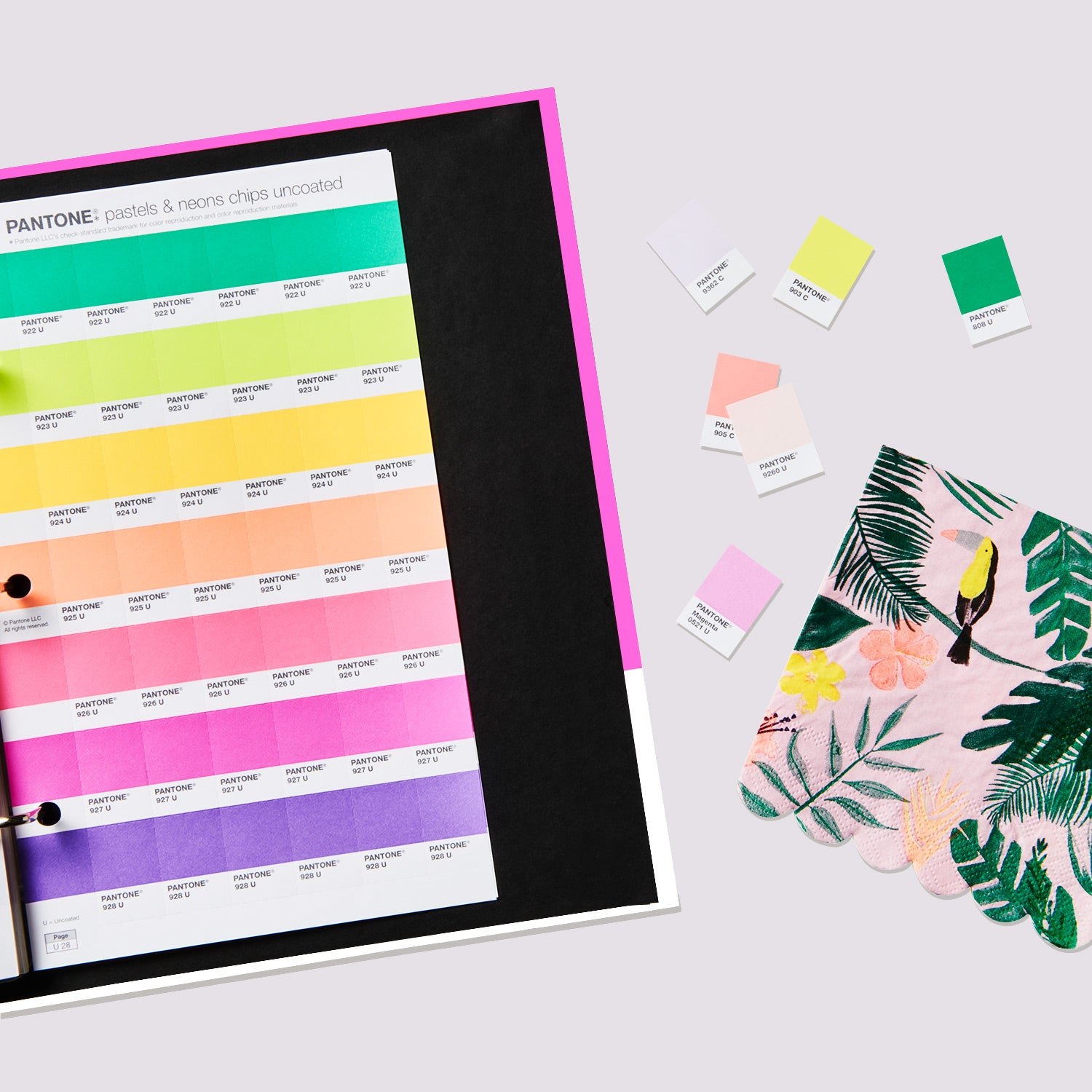 PANTONE® Pastels & Neons Chips - Coated & Uncoated - GB1504C