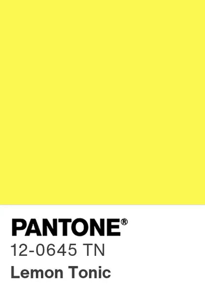 PANTONE® Nylon Brights Swatch Cards (SWCDTN)
