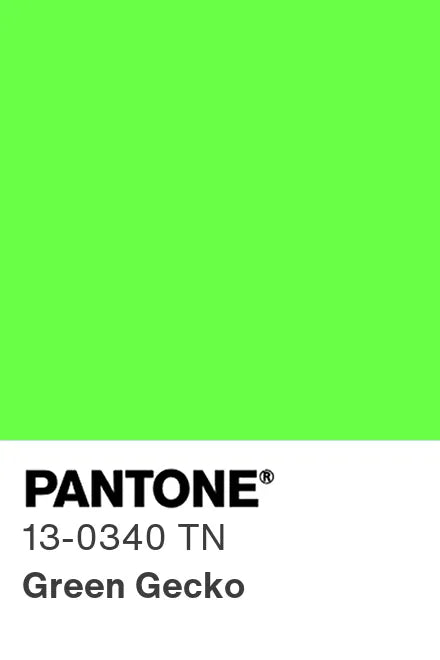 PANTONE® Nylon Brights Swatch Cards (SWCDTN)