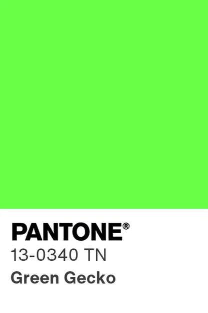 PANTONE® Nylon Brights Swatch Cards (SWCDTN)