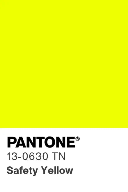 PANTONE® Nylon Brights Swatch Cards (SWCDTN)