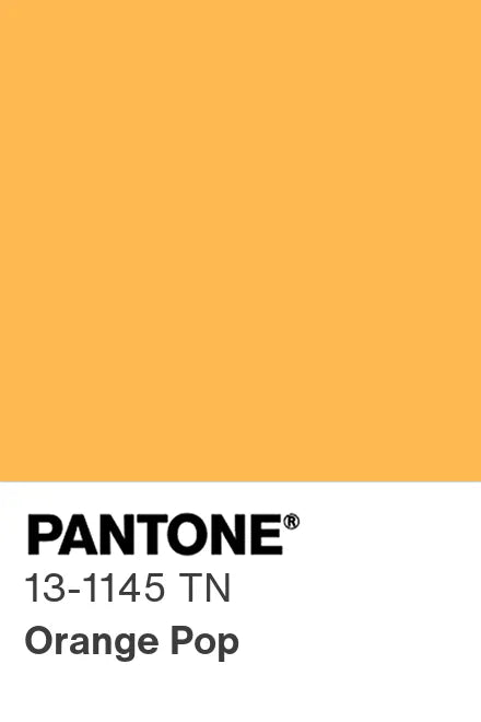 PANTONE® Nylon Brights Swatch Cards (SWCDTN)