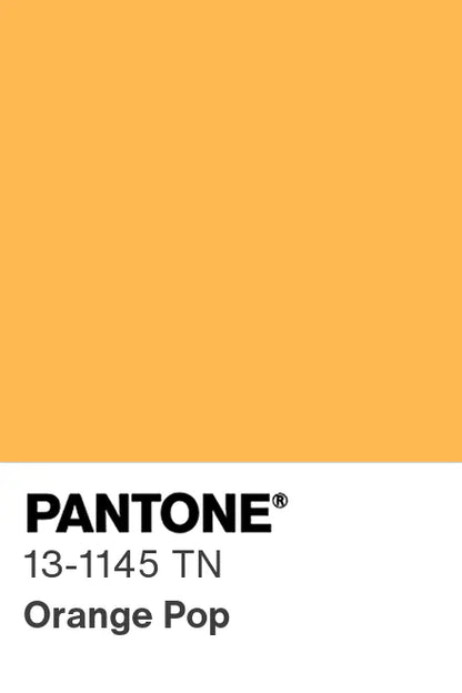 PANTONE® Nylon Brights Swatch Cards (SWCDTN)
