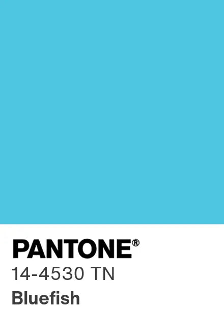 PANTONE® Nylon Brights Swatch Cards (SWCDTN)