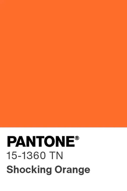 PANTONE® Nylon Brights Swatch Cards (SWCDTN)