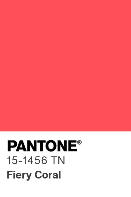 PANTONE® Nylon Brights Swatch Cards (SWCDTN)