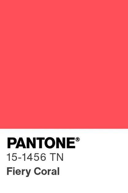 PANTONE® Nylon Brights Swatch Cards (SWCDTN)