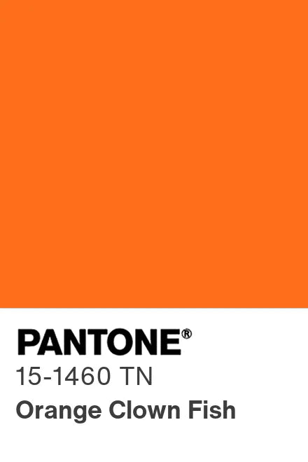 PANTONE® Nylon Brights Swatch Cards (SWCDTN)