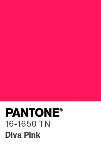 PANTONE® Nylon Brights Swatch Cards (SWCDTN)