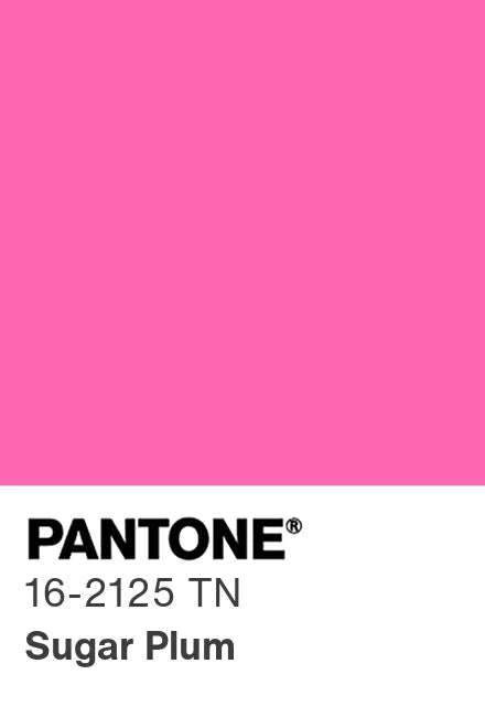 PANTONE® Nylon Brights Swatch Cards (SWCDTN)