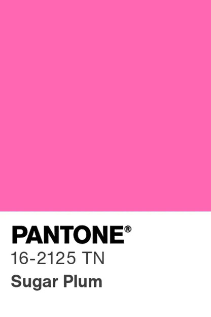 PANTONE® Nylon Brights Swatch Cards (SWCDTN)