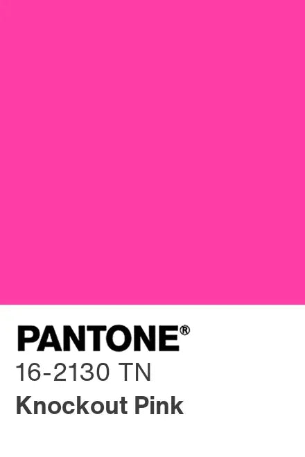 PANTONE® Nylon Brights Swatch Cards (SWCDTN)