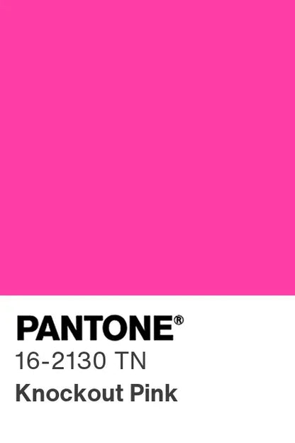 PANTONE® Nylon Brights Swatch Cards (SWCDTN)