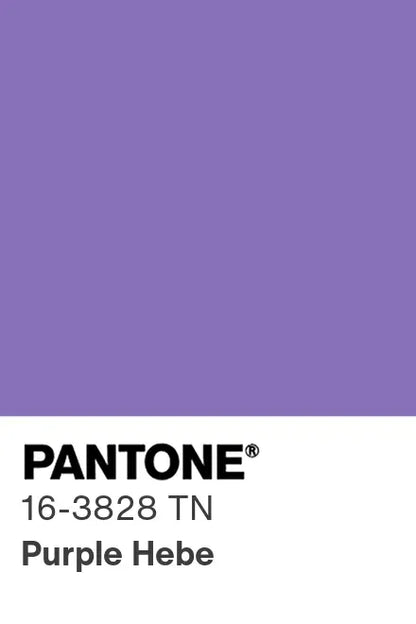PANTONE® Nylon Brights Swatch Cards (SWCDTN)