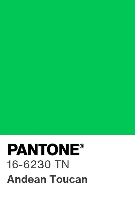 PANTONE® Nylon Brights Swatch Cards (SWCDTN)
