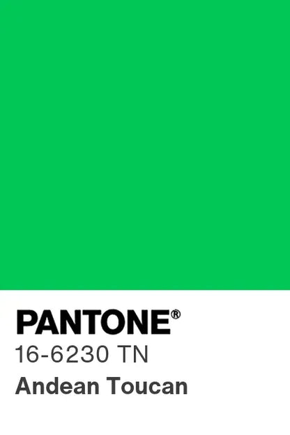 PANTONE® Nylon Brights Swatch Cards (SWCDTN)