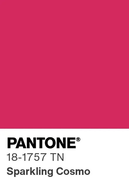 PANTONE® Nylon Brights Swatch Cards (SWCDTN)