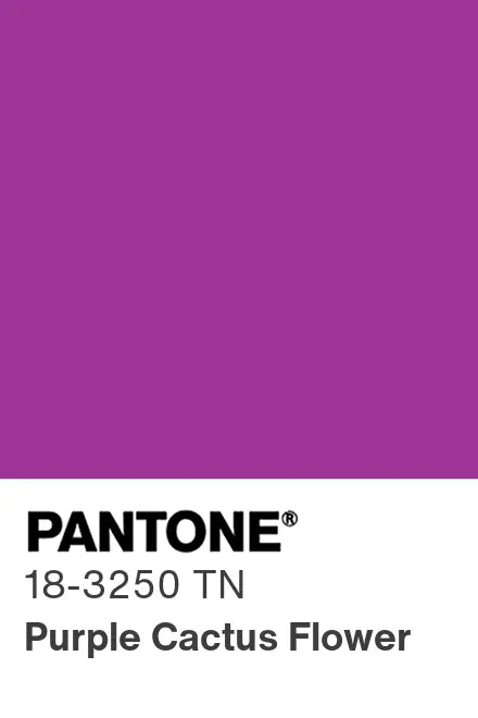 PANTONE® Nylon Brights Swatch Cards (SWCDTN)