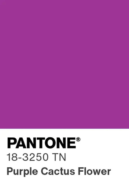 PANTONE® Nylon Brights Swatch Cards (SWCDTN)
