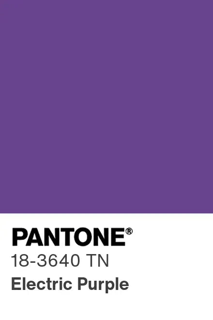 PANTONE® Nylon Brights Swatch Cards (SWCDTN)