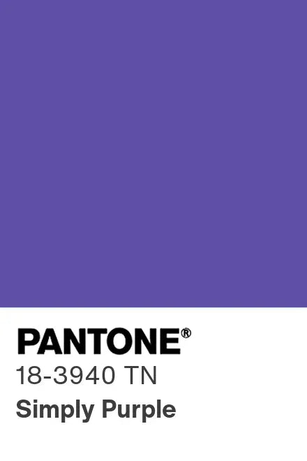 PANTONE® Nylon Brights Swatch Cards (SWCDTN)