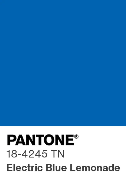 PANTONE® Nylon Brights Swatch Cards (SWCDTN)