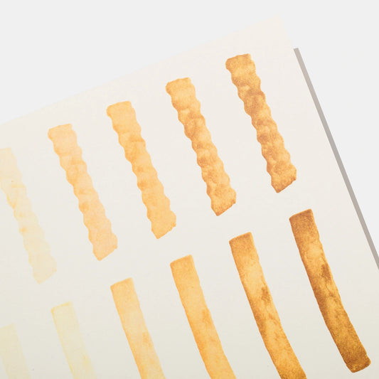 Munsell USDA Frozen French Fry Standard - 5 pack