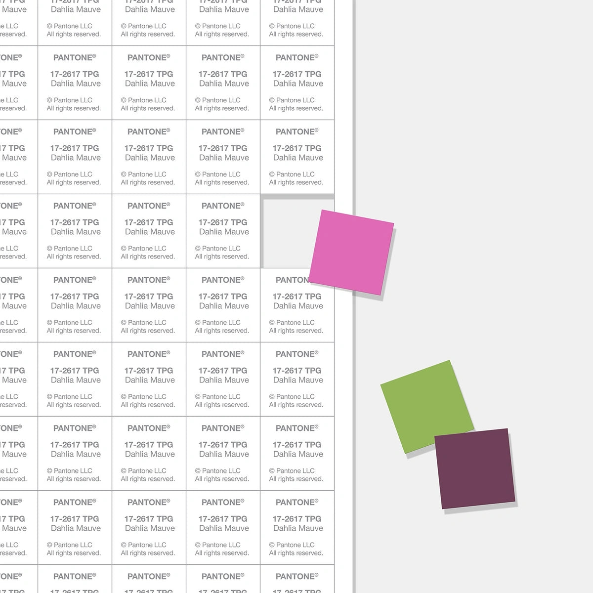TPG Sheets - FHI Large Paper Swatches